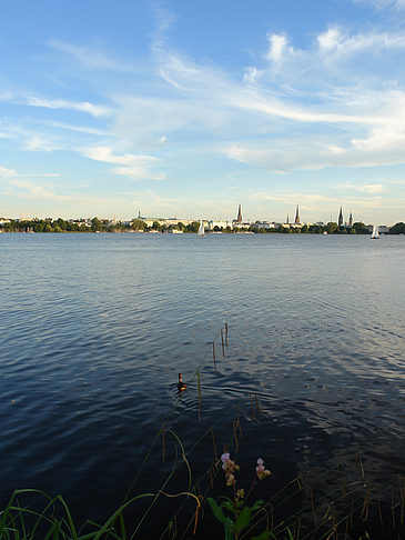 Fotos Außenalster Panorama