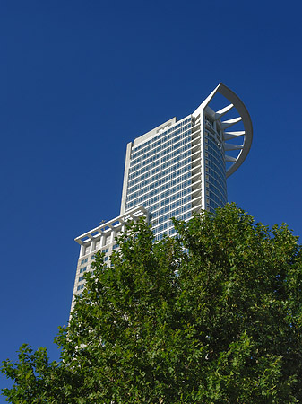 Fotos Westendtower mit Baum