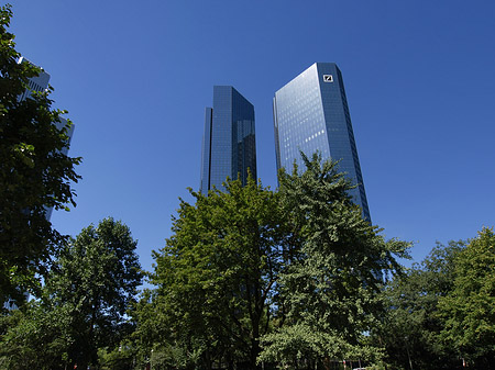 Deutsche Bank mit Bäumen Fotos