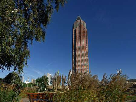 Foto Messeturm auf Wiese