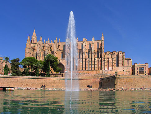 Fotos Die Kathedrale | Palma de Maljorka
