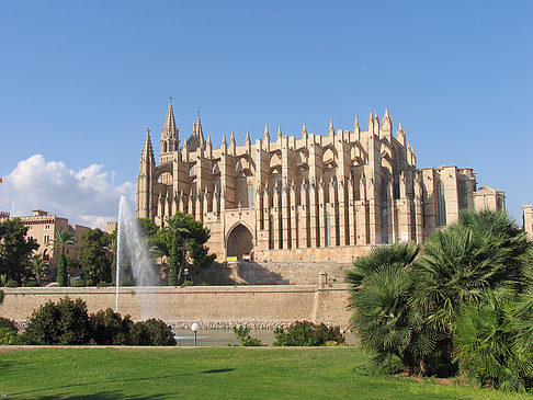 Foto Die Kathedrale - Palma de Maljorka