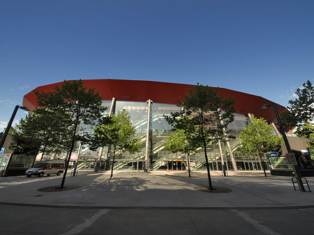 Kölnarena hinter Bäumen Fotos