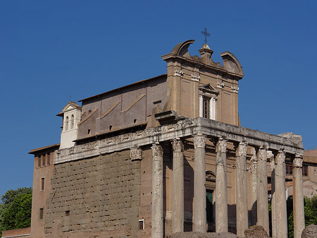 Foto Tempel des Antoninus Pius und der Faustina