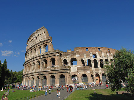 Fotos Kolosseum hinter Bäumen und Säulen