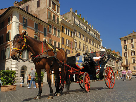 Pferdekutsche auf der Piazza die Spagna Fotos